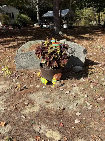 7 Kenyann Drive Wolfeboro NH 03894