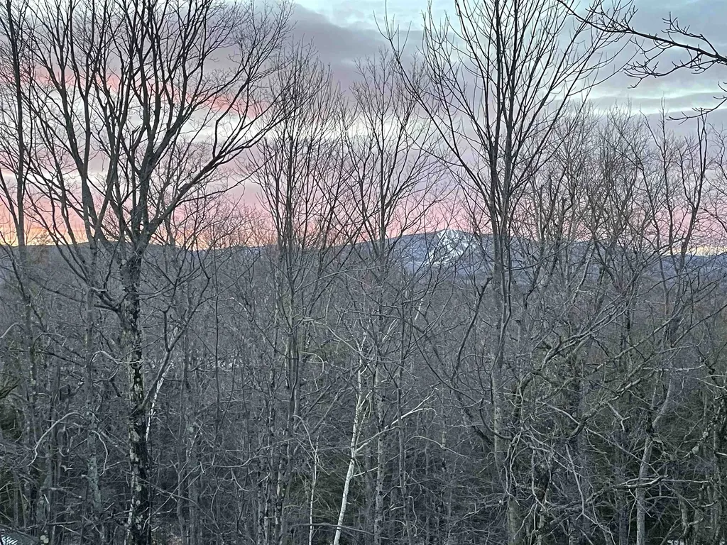 7 Stratton West Road Winhall VT 05340