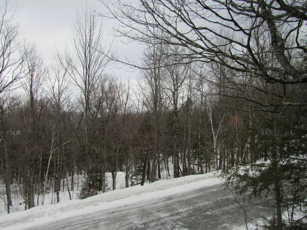 #7 Stratton West Road Winhall VT 05340