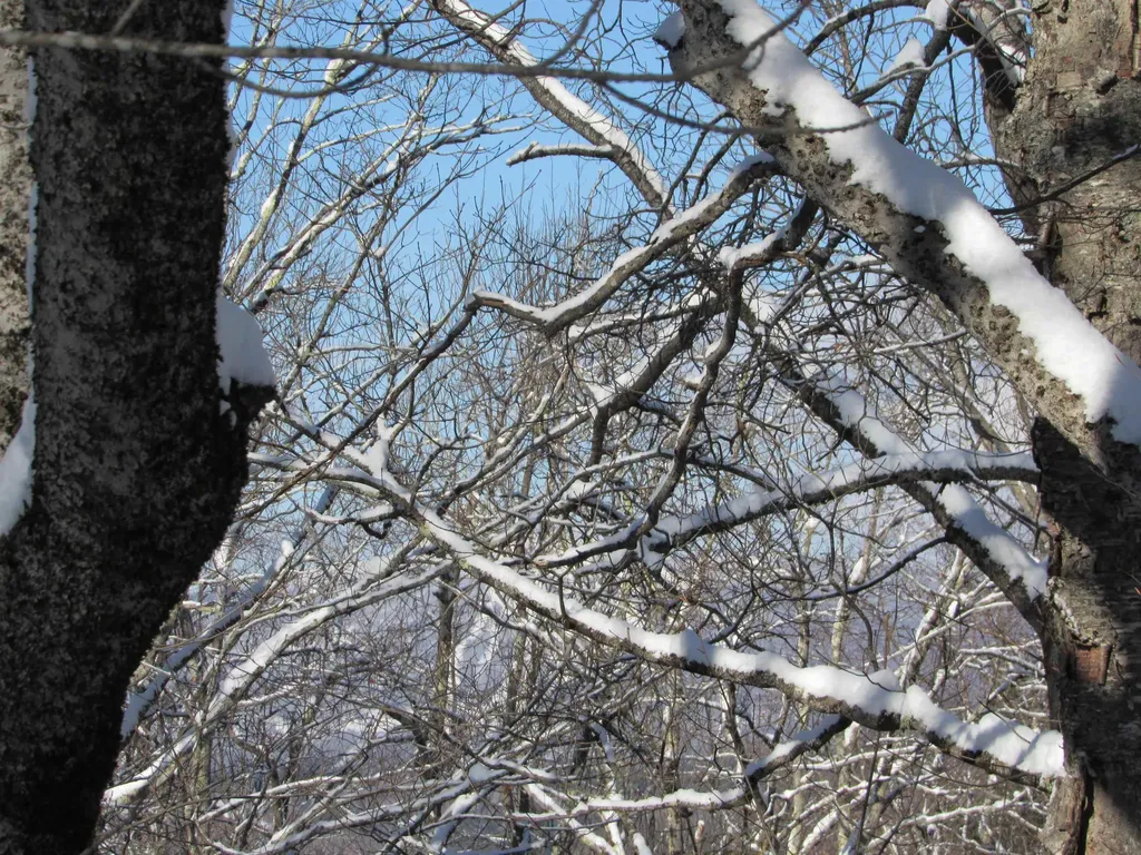 #7 Stratton West Road Winhall VT 05340