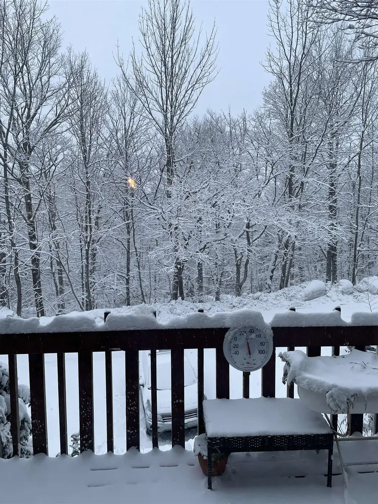 #7 Stratton West Road Winhall VT 05340