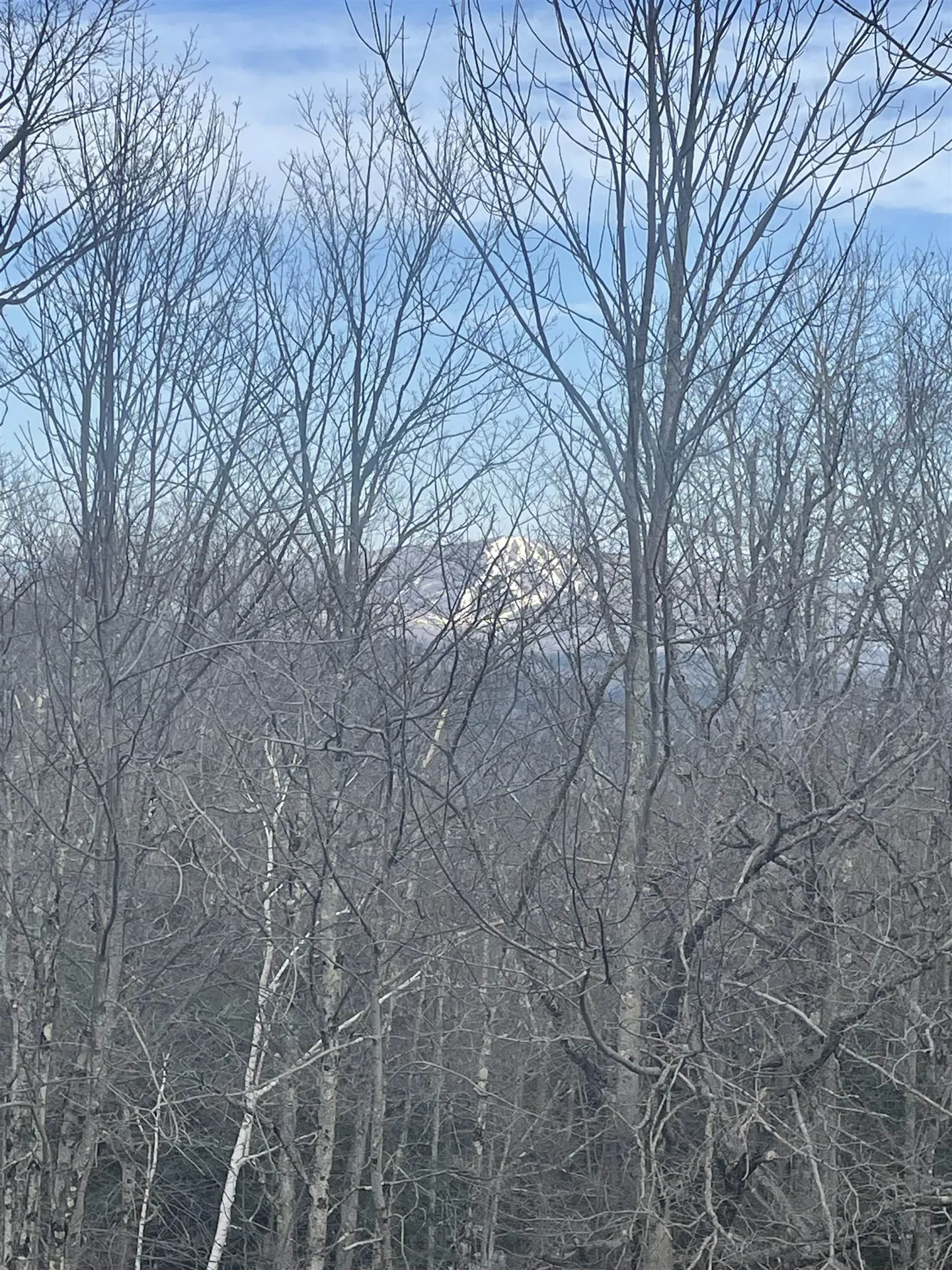 #7 Stratton West Road Winhall VT 05340