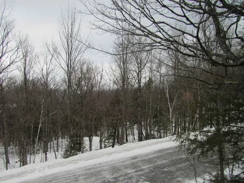 #7 Stratton West Road Winhall VT 05340