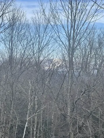 #7 Stratton West Road Winhall VT 05340