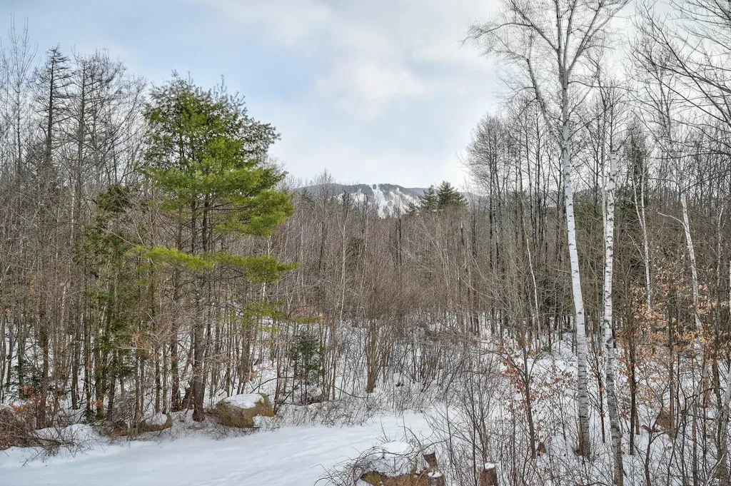 136 Northbrook Circle Conway NH 03860