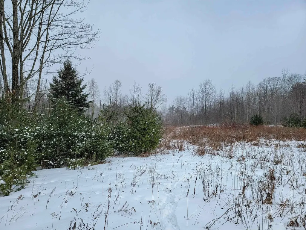 1735 South Road Bradford VT 05033