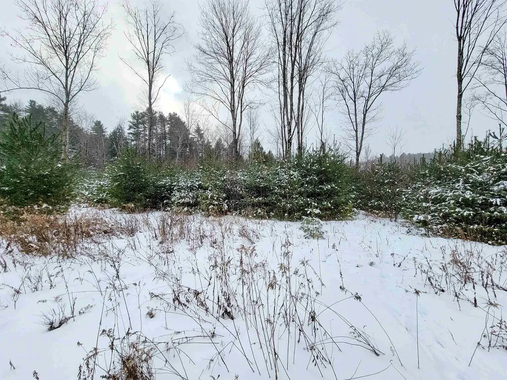 1735 South Road Bradford VT 05033