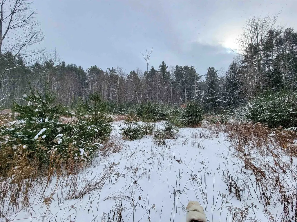 1735 South Road Bradford VT 05033