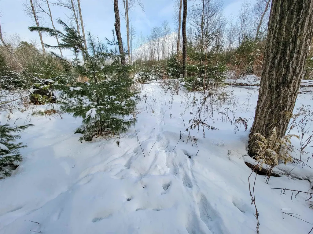 1735 South Road Bradford VT 05033