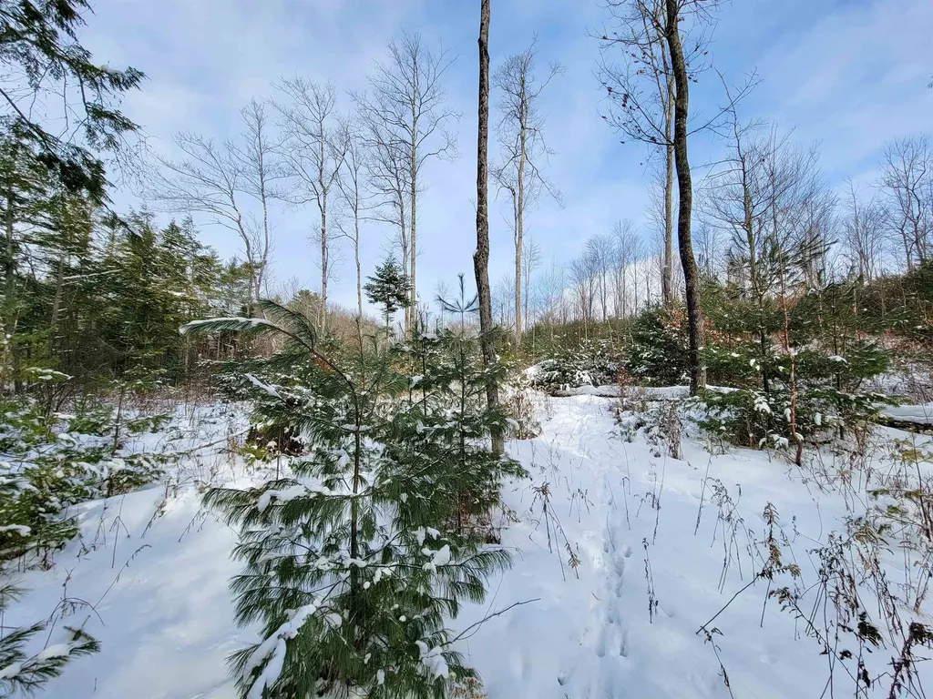 1735 South Road Bradford VT 05033