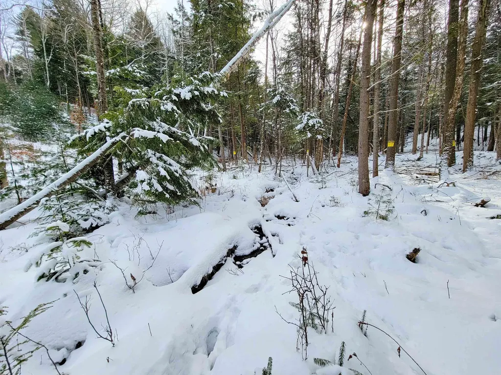 1735 South Road Bradford VT 05033