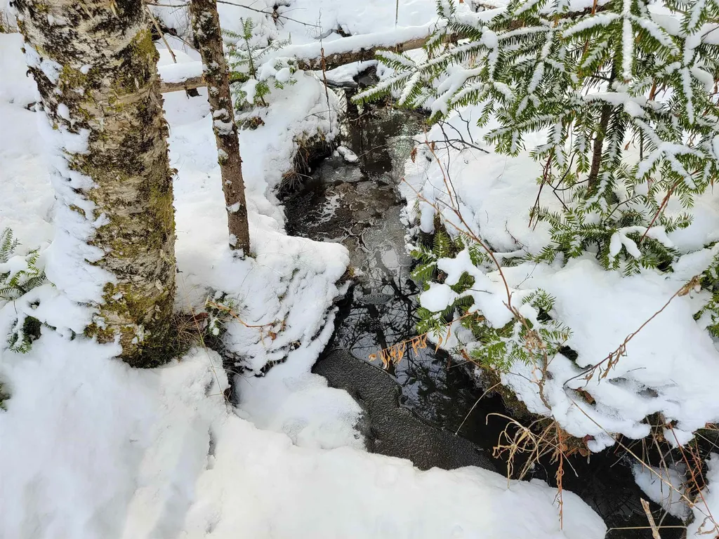 1735 South Road Bradford VT 05033