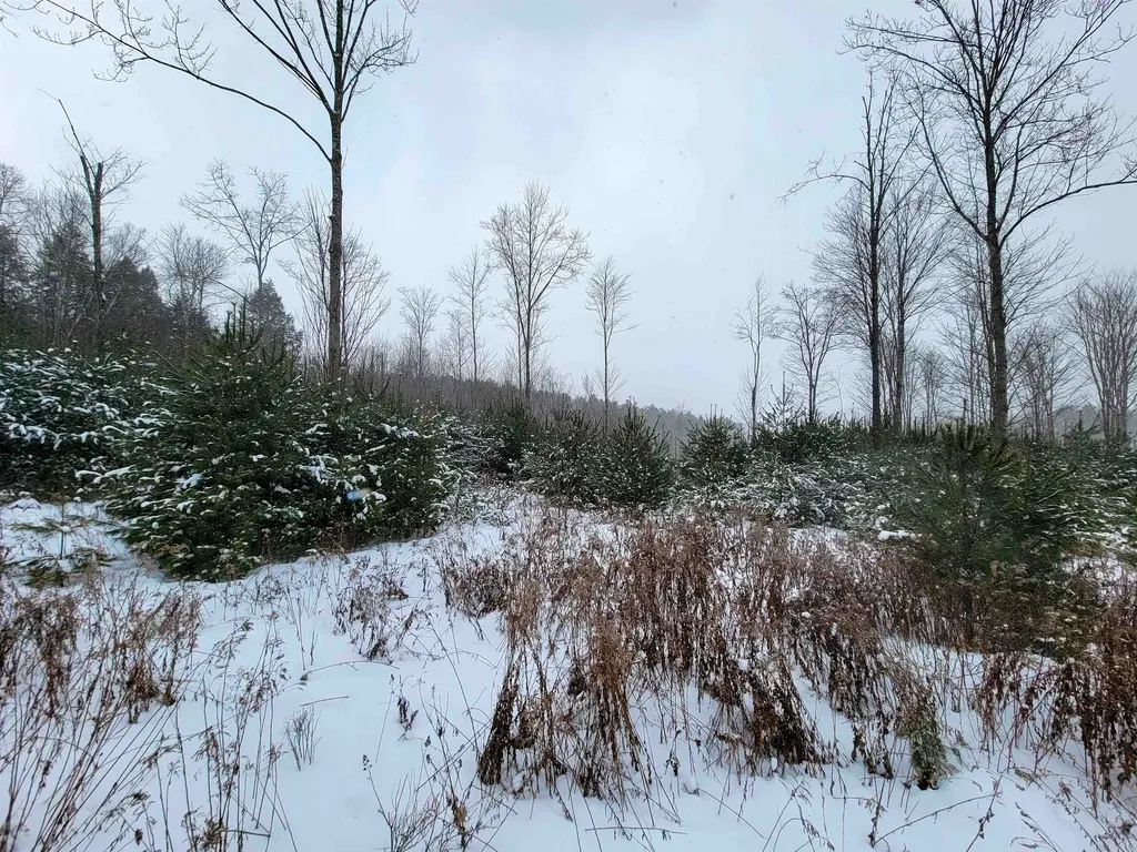 1735 South Road Bradford VT 05033