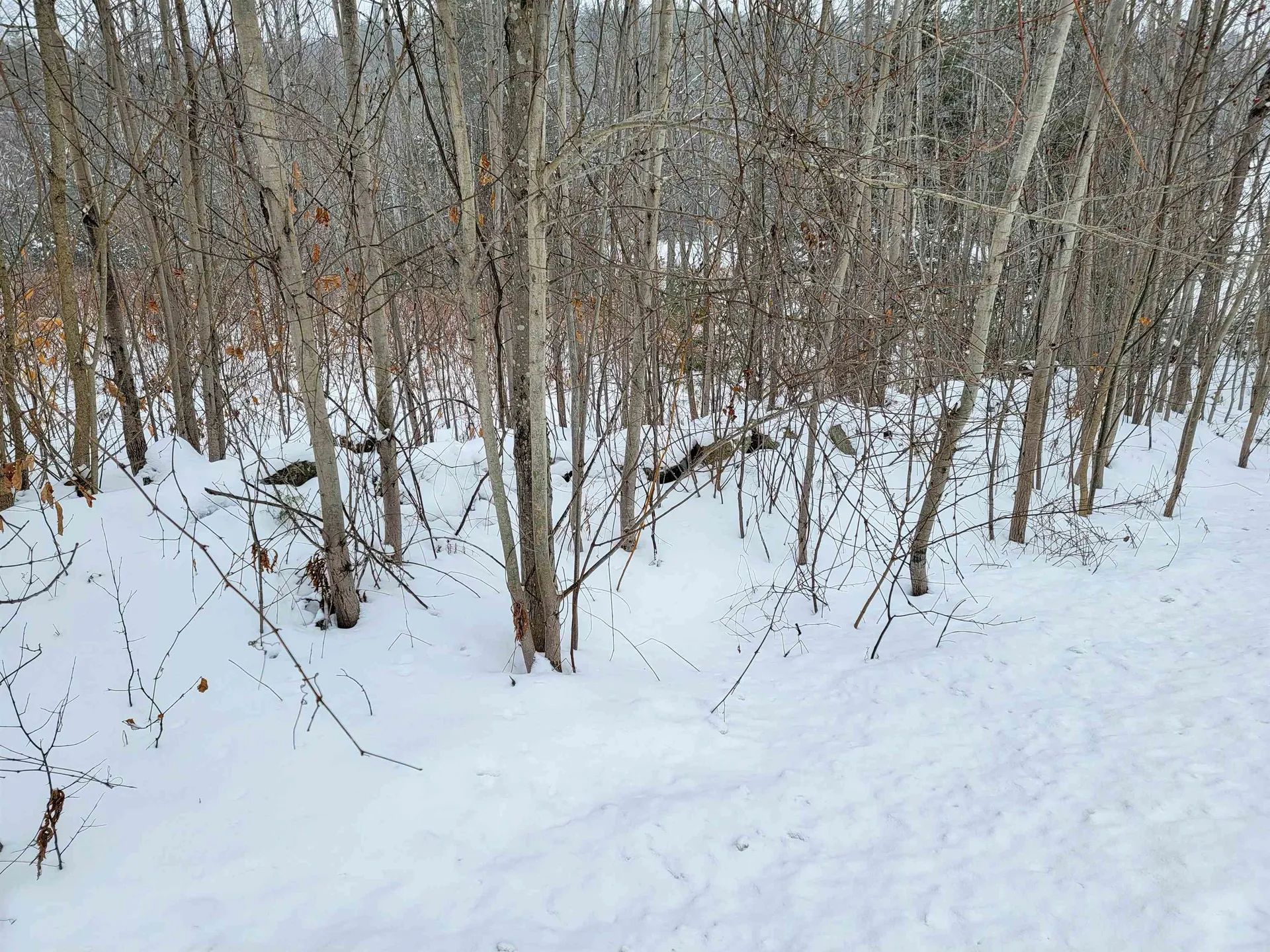 1735 South Road Bradford VT 05033