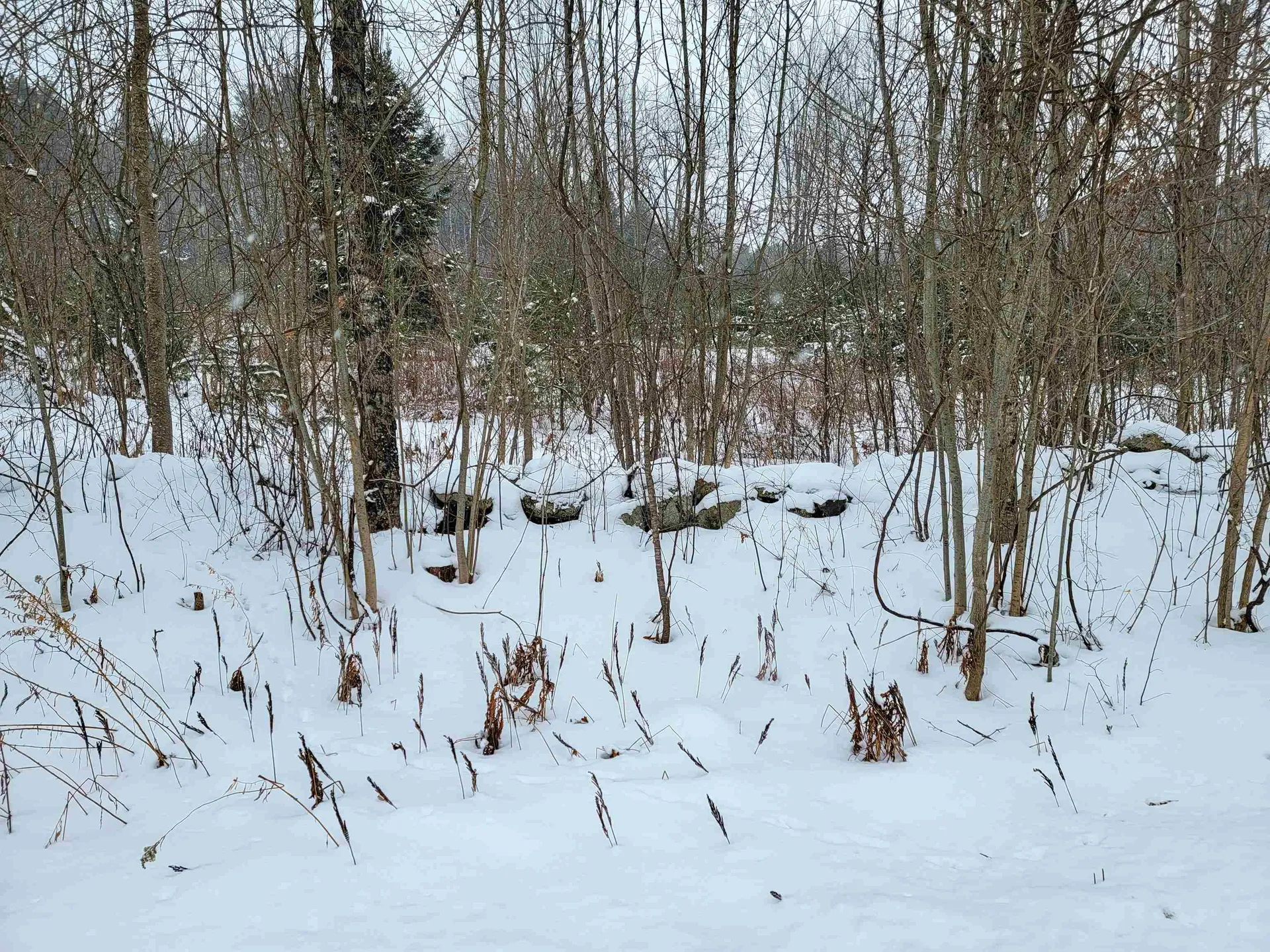 1735 South Road Bradford VT 05033