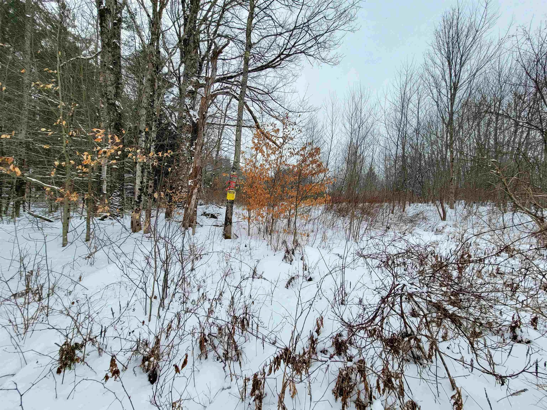 1735 South Road Bradford VT 05033