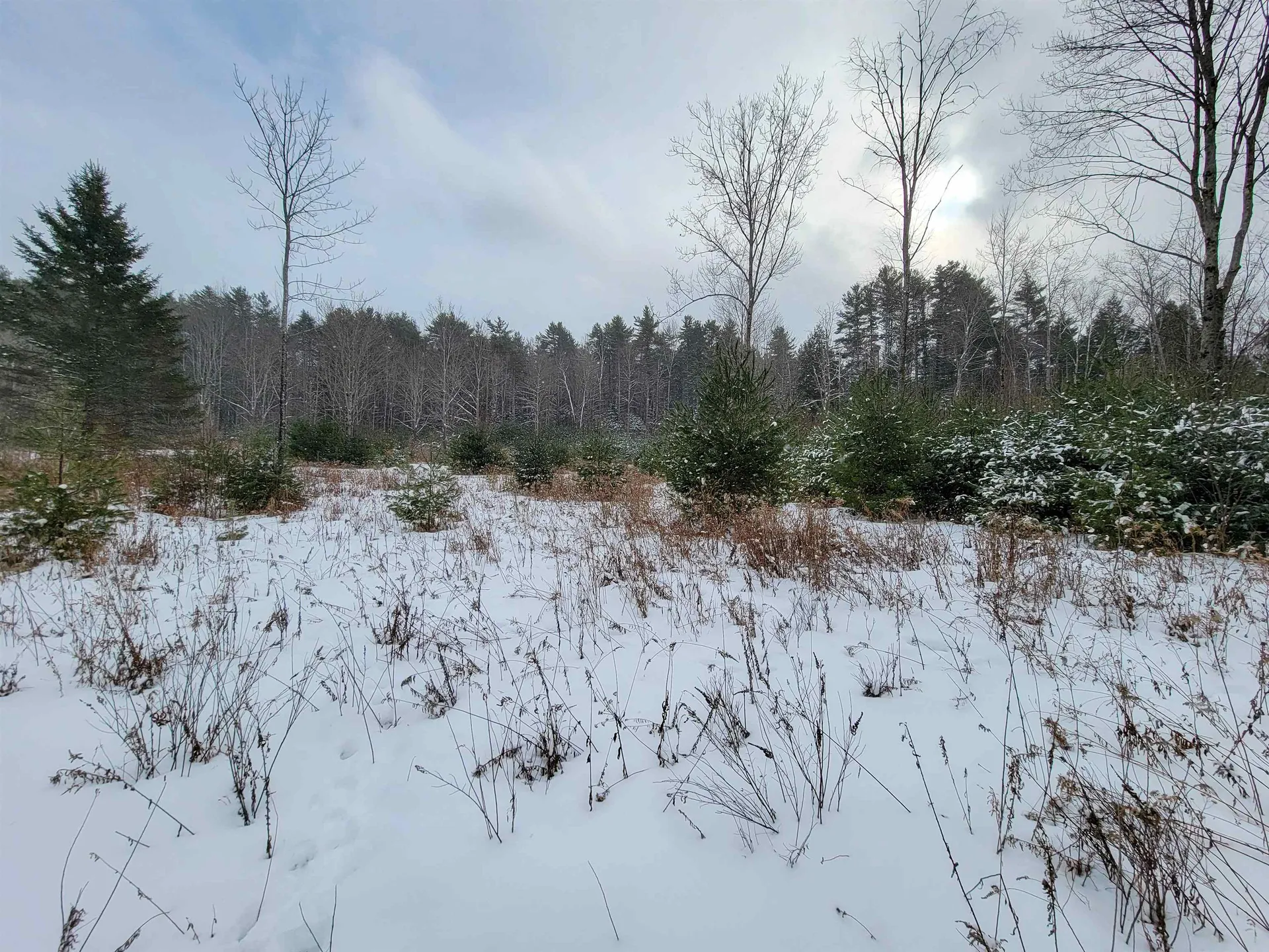 1735 South Road Bradford VT 05033