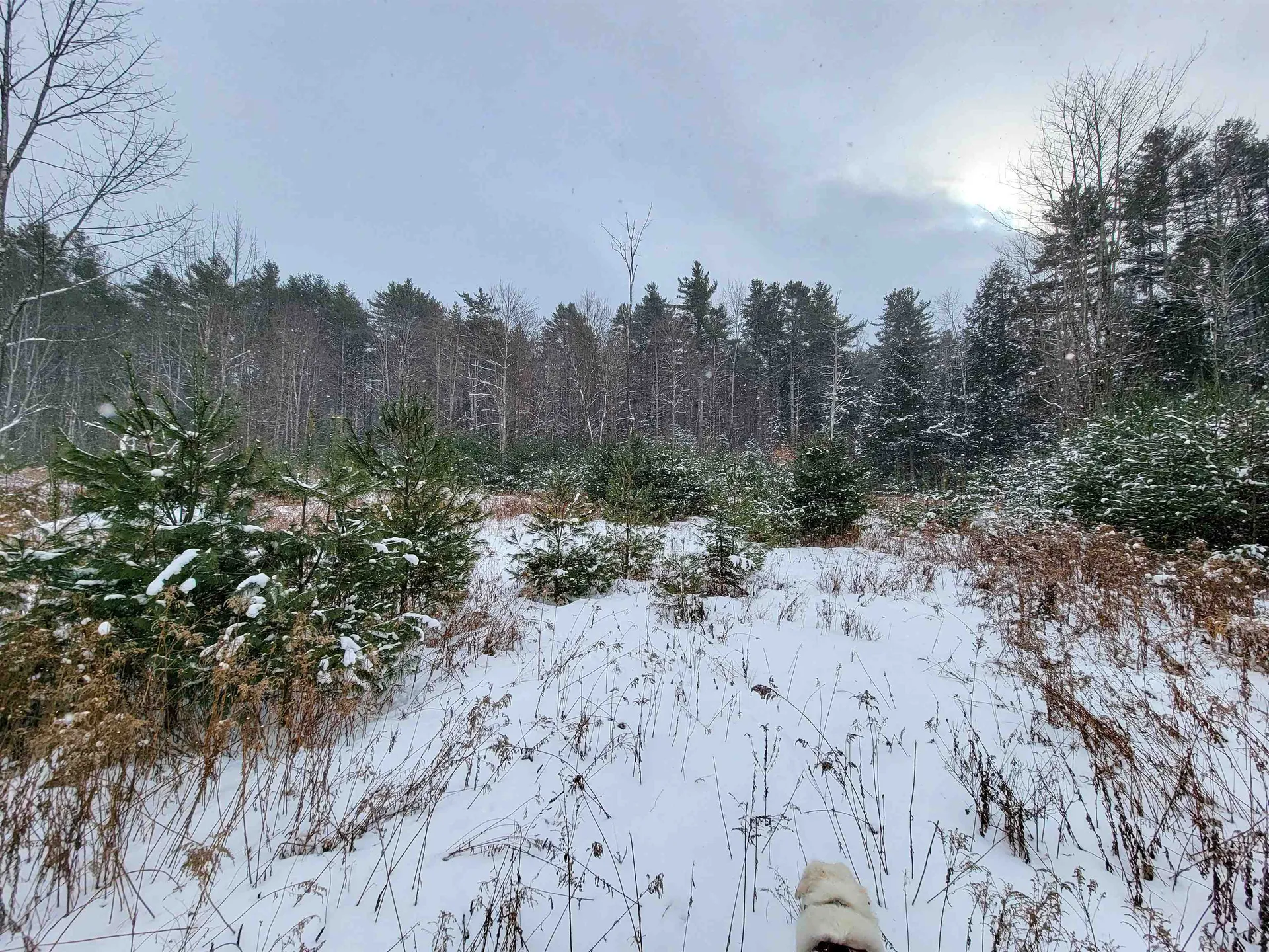 1735 South Road Bradford VT 05033