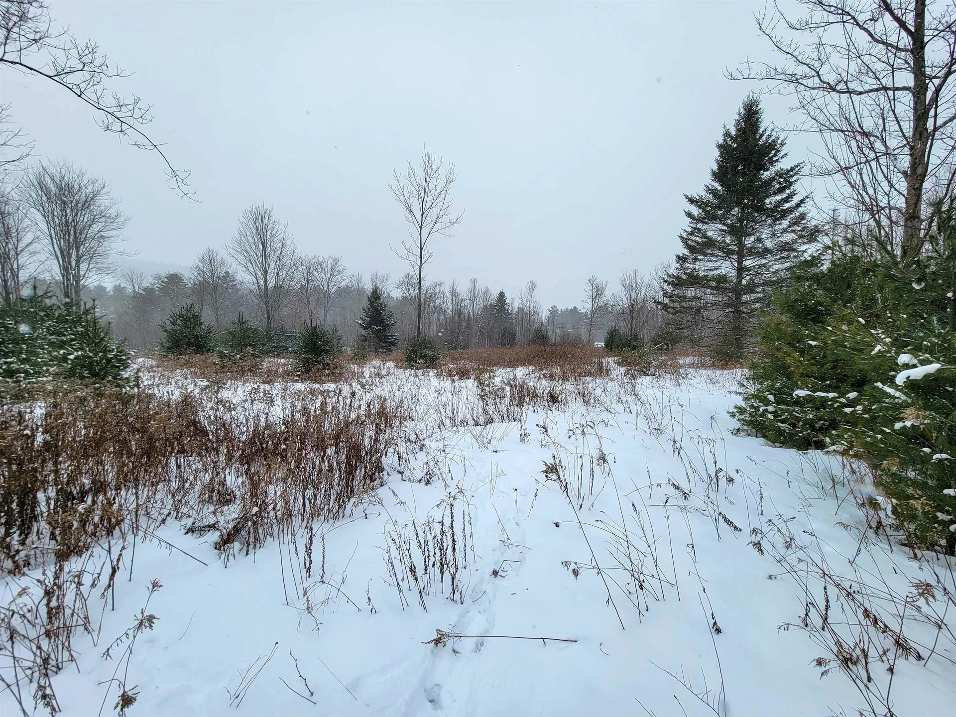 1735 South Road Bradford VT 05033