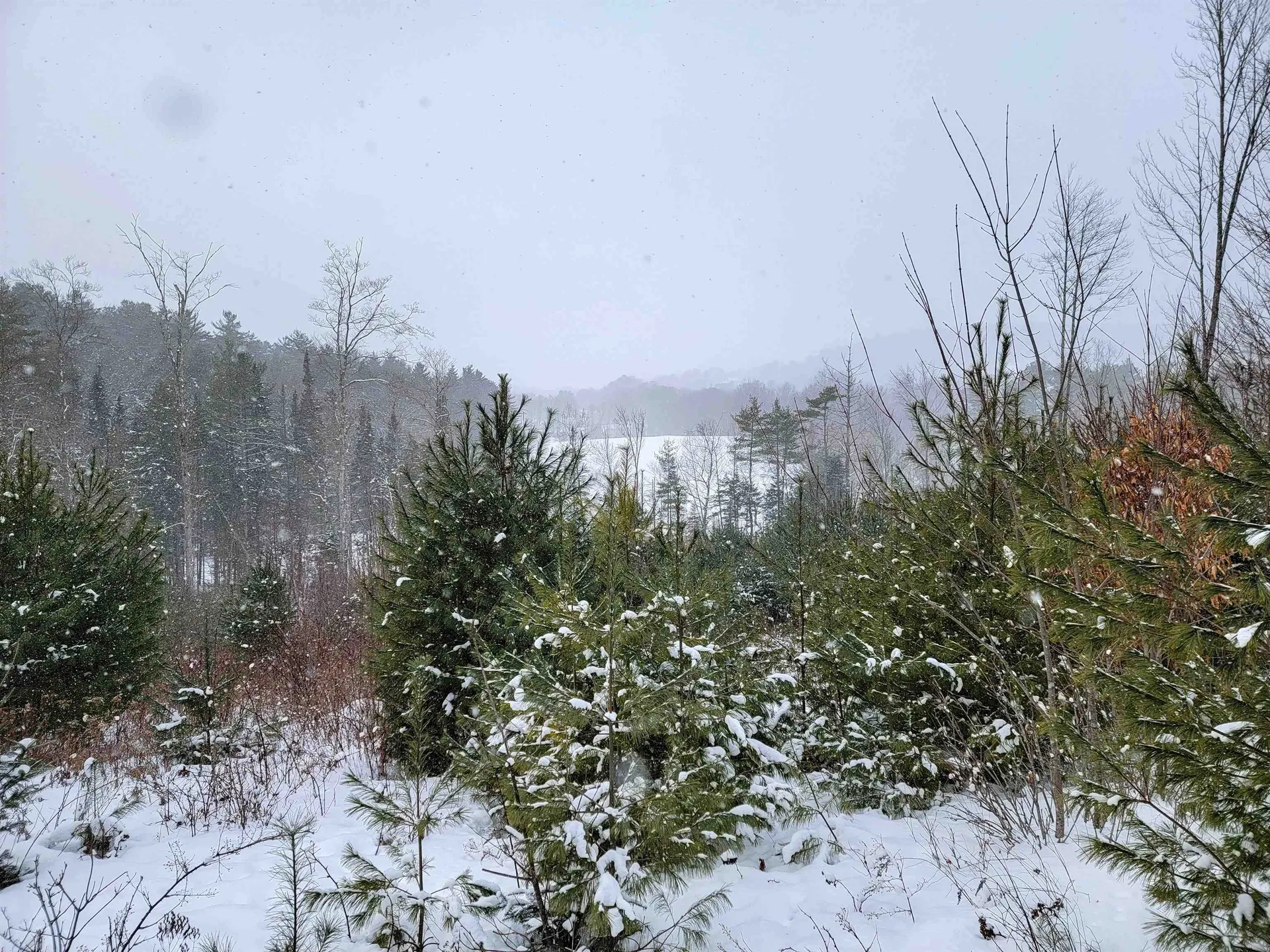 1735 South Road Bradford VT 05033