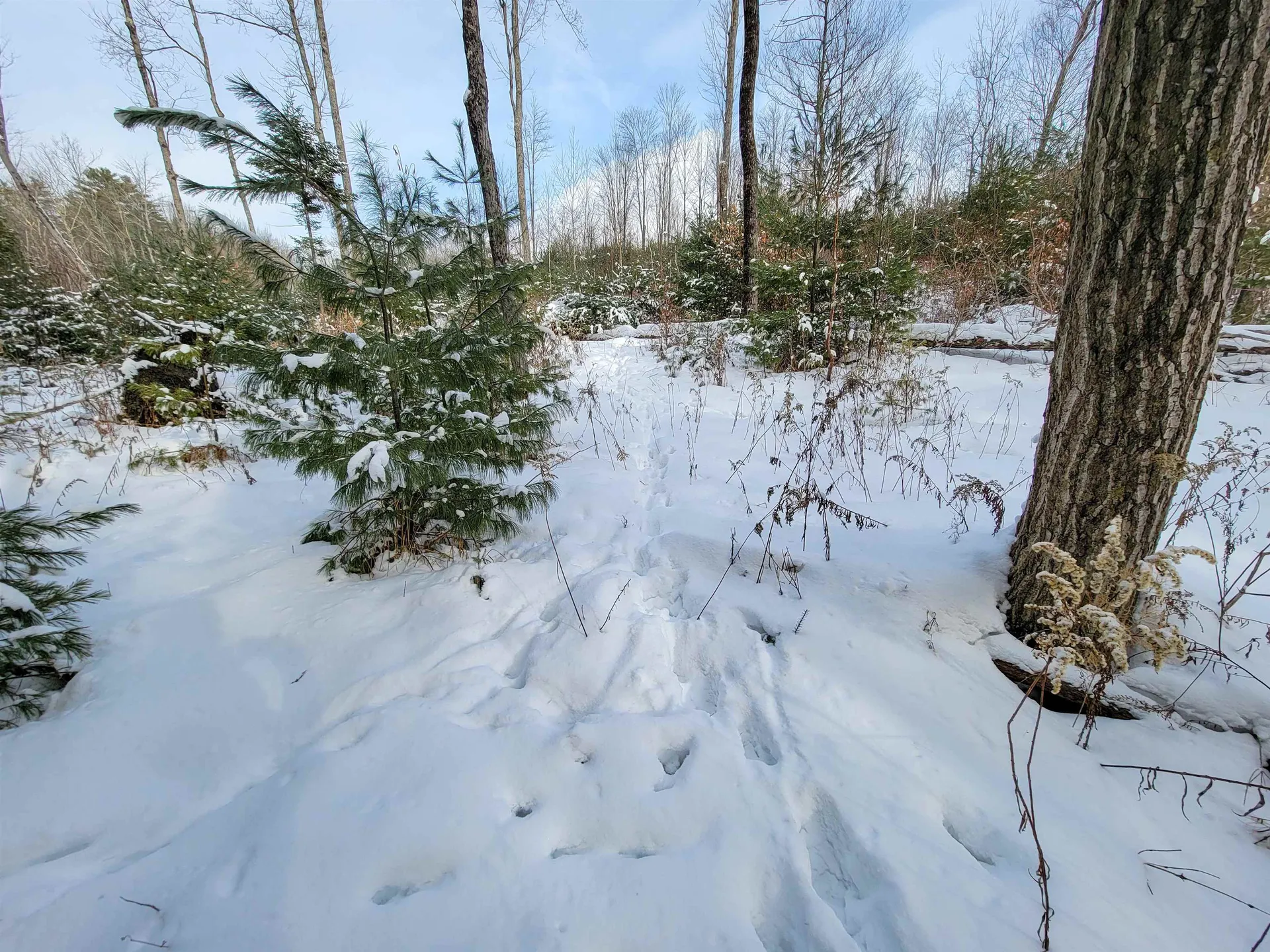 1735 South Road Bradford VT 05033