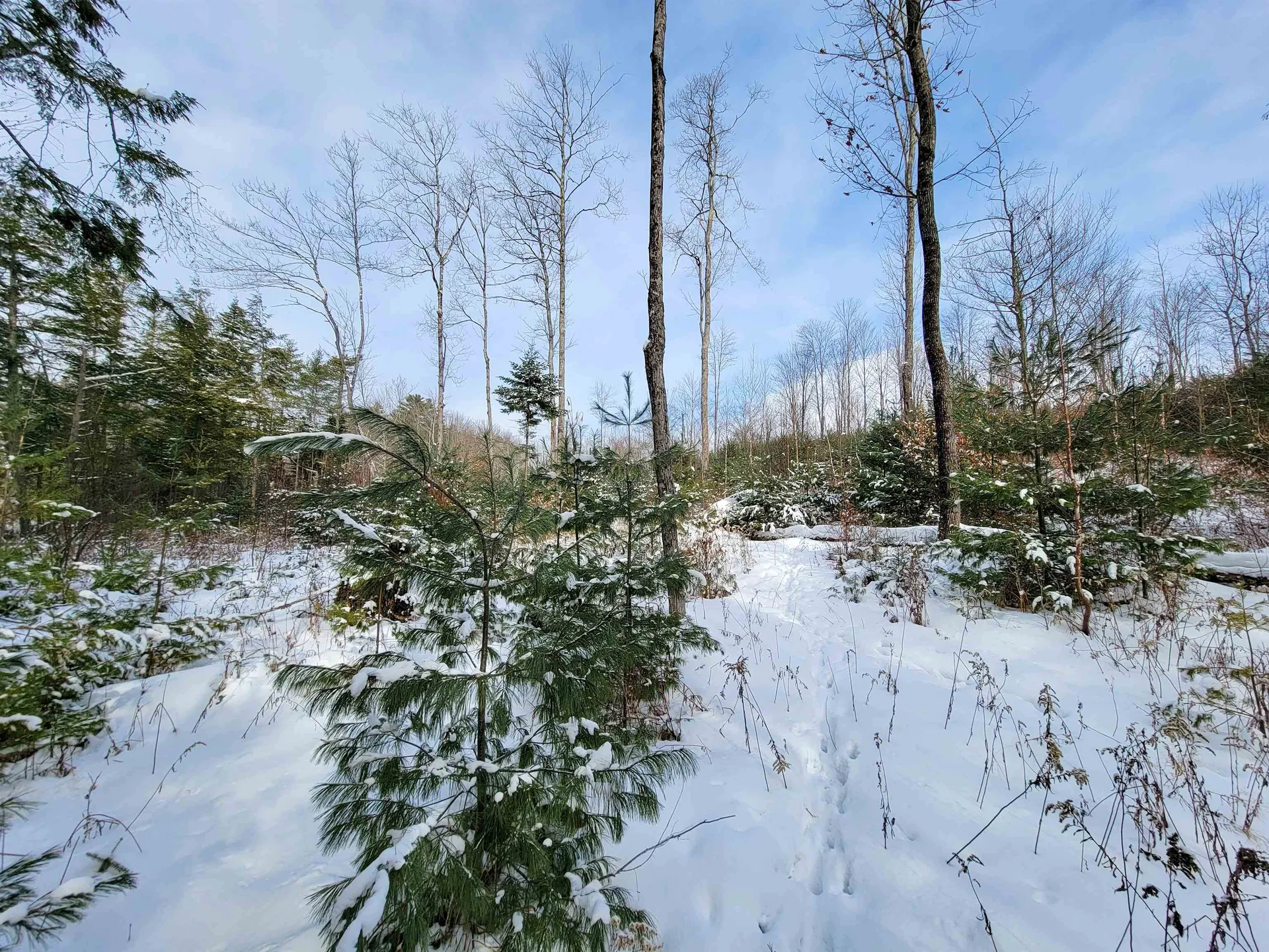 1735 South Road Bradford VT 05033