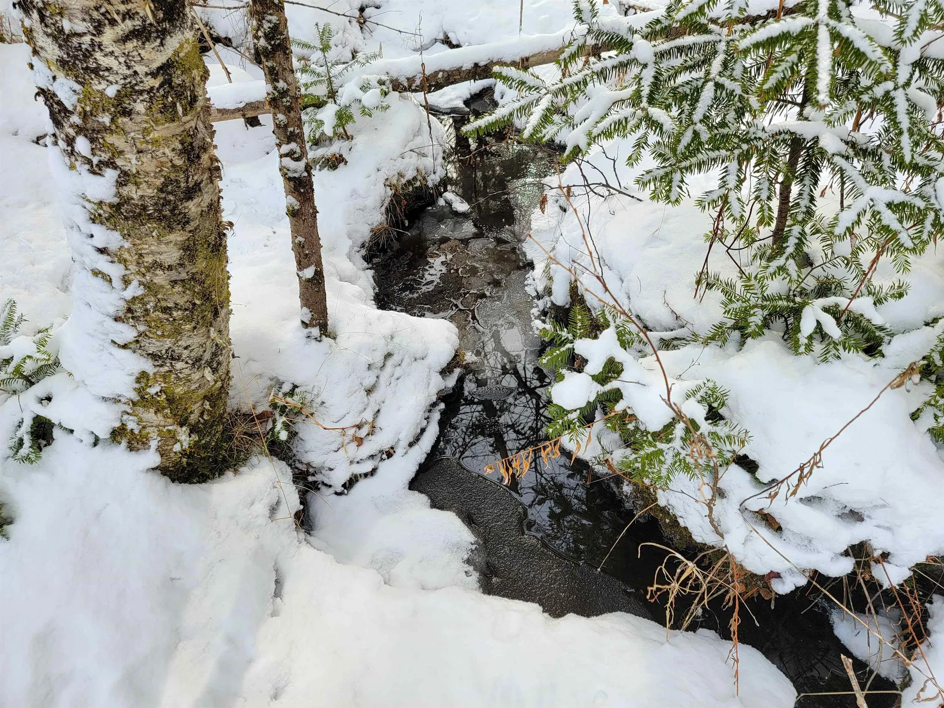 1735 South Road Bradford VT 05033