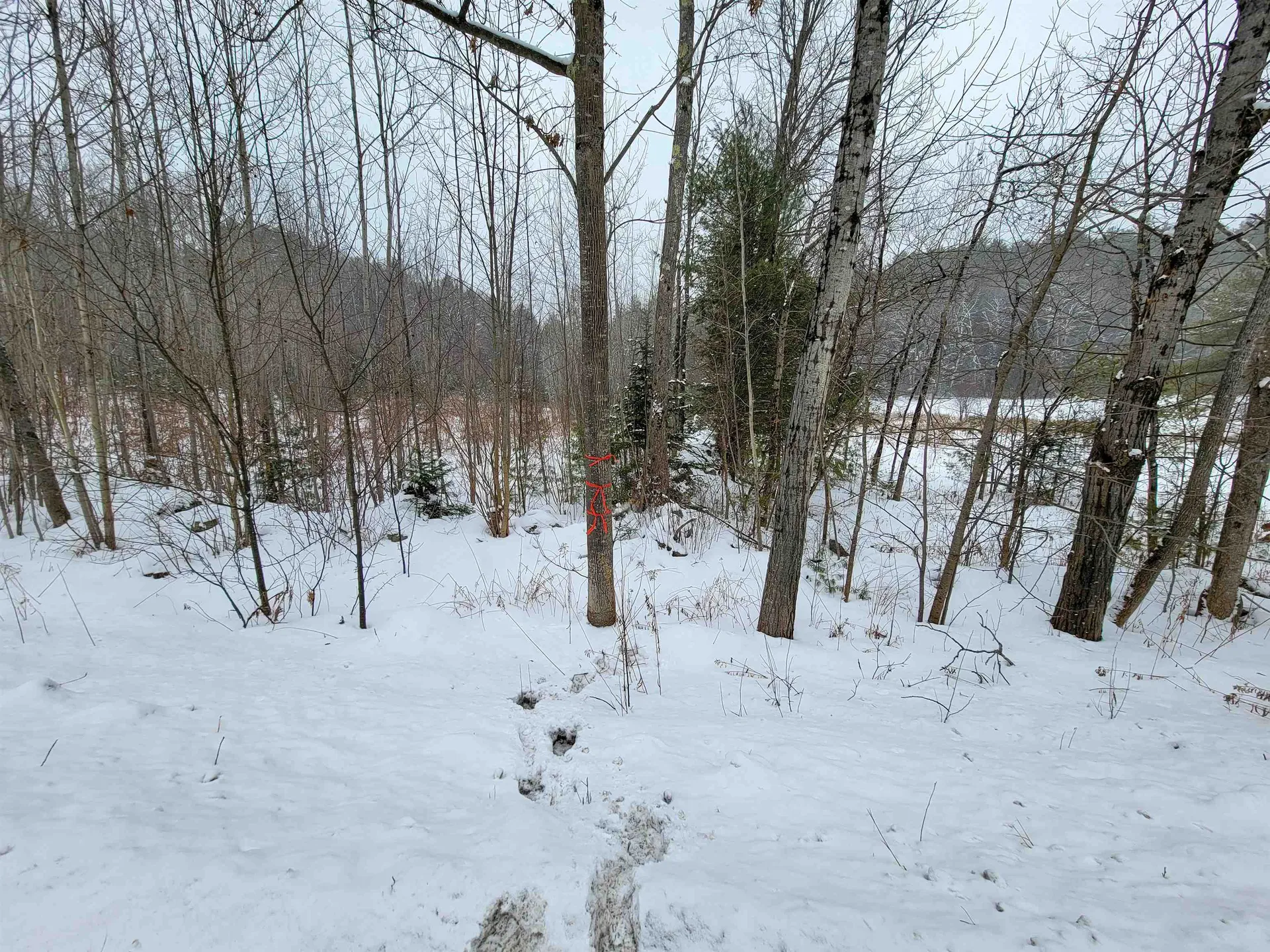 1735 South Road Bradford VT 05033