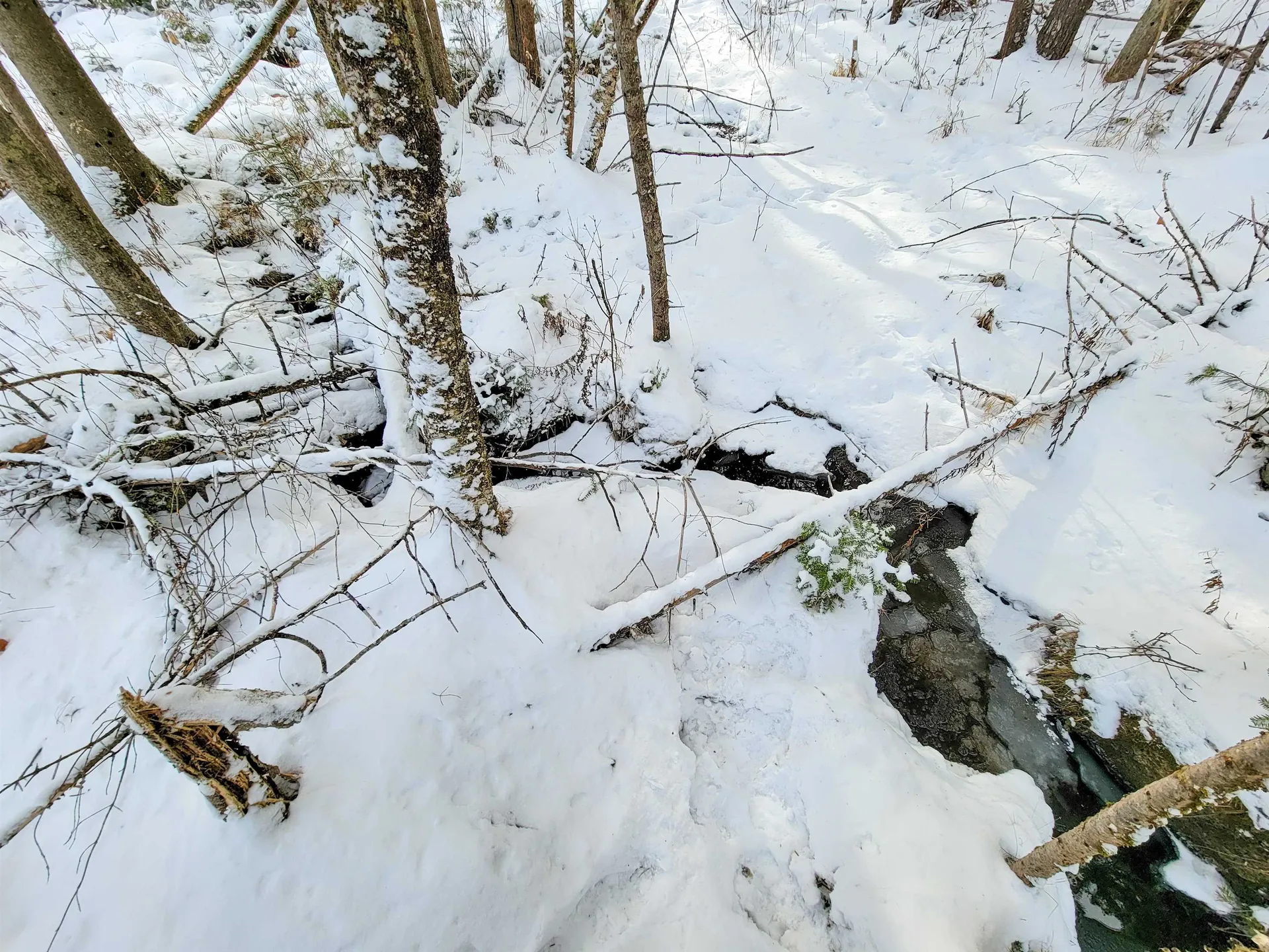 1735 South Road Bradford VT 05033