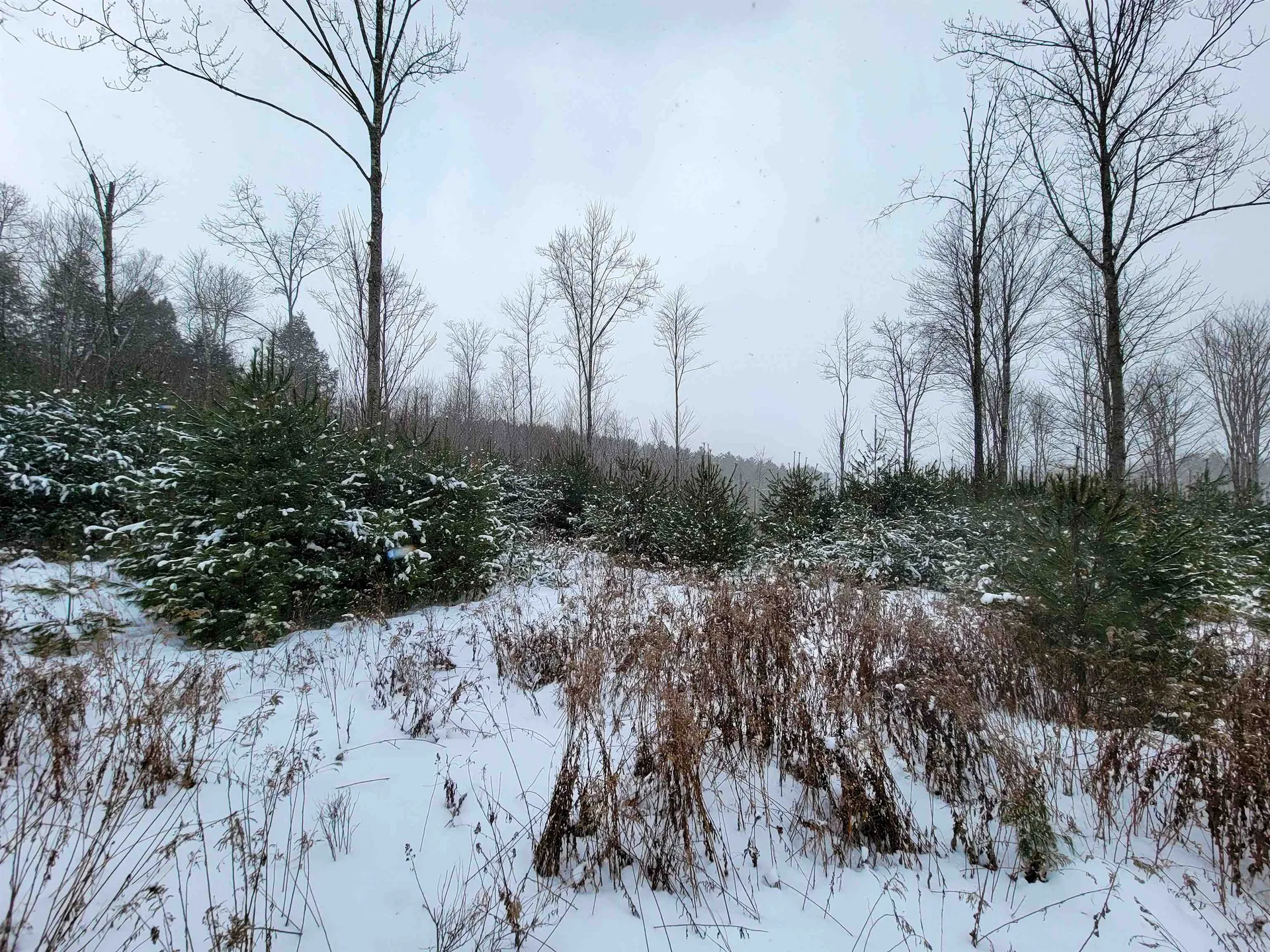 1735 South Road Bradford VT 05033