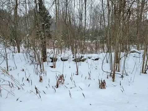 1735 South Road Bradford VT 05033