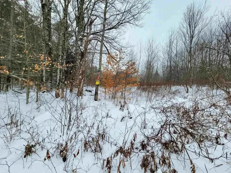 1735 South Road Bradford VT 05033