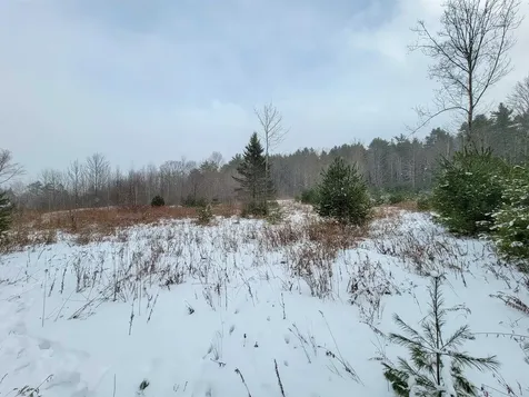 1735 South Road Bradford VT 05033