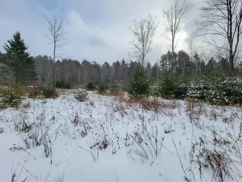 1735 South Road Bradford VT 05033