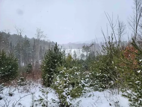 1735 South Road Bradford VT 05033