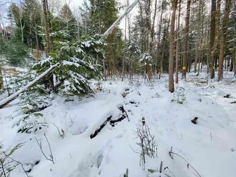 1735 South Road Bradford VT 05033