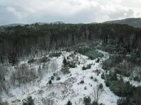 1735 South Road Bradford VT 05033