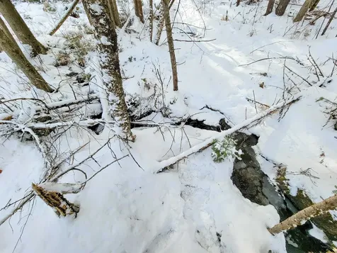 1735 South Road Bradford VT 05033