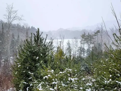 1735 South Road Bradford VT 05033