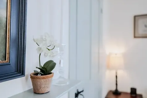 19 Webber Lane Fitzwilliam NH 03447