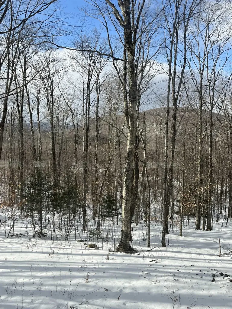 2924 New Duck Pond Road Sheffield VT 05866