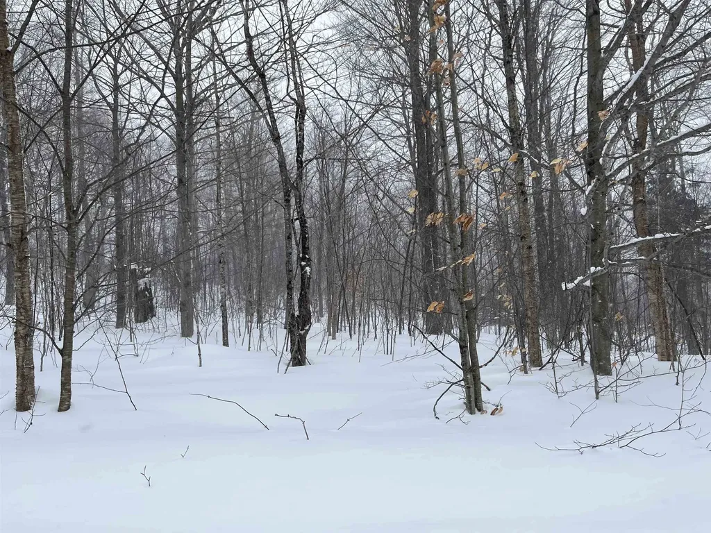 2924 New Duck Pond Road Sheffield VT 05866