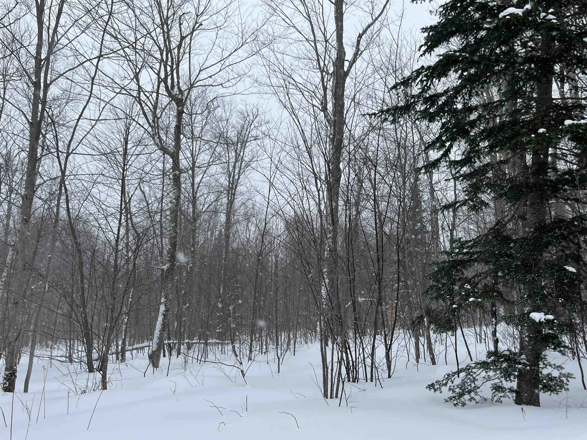 2924 New Duck Pond Road Sheffield VT 05866