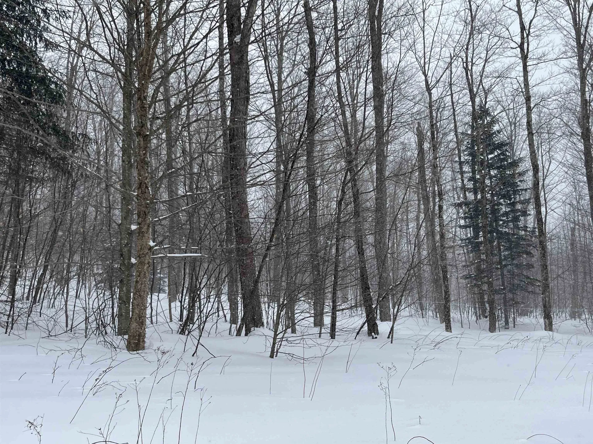 2924 New Duck Pond Road Sheffield VT 05866