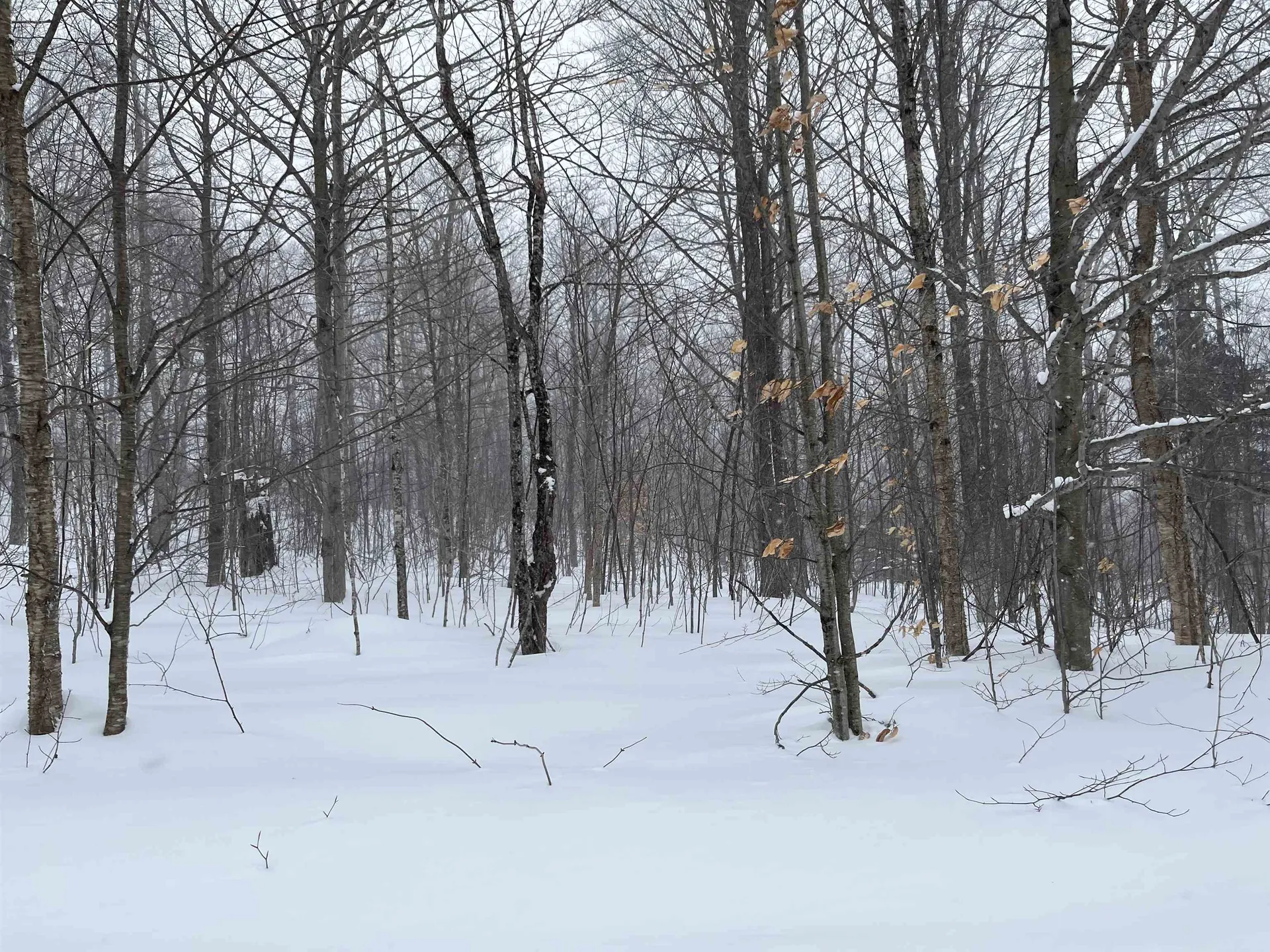 2924 New Duck Pond Road Sheffield VT 05866