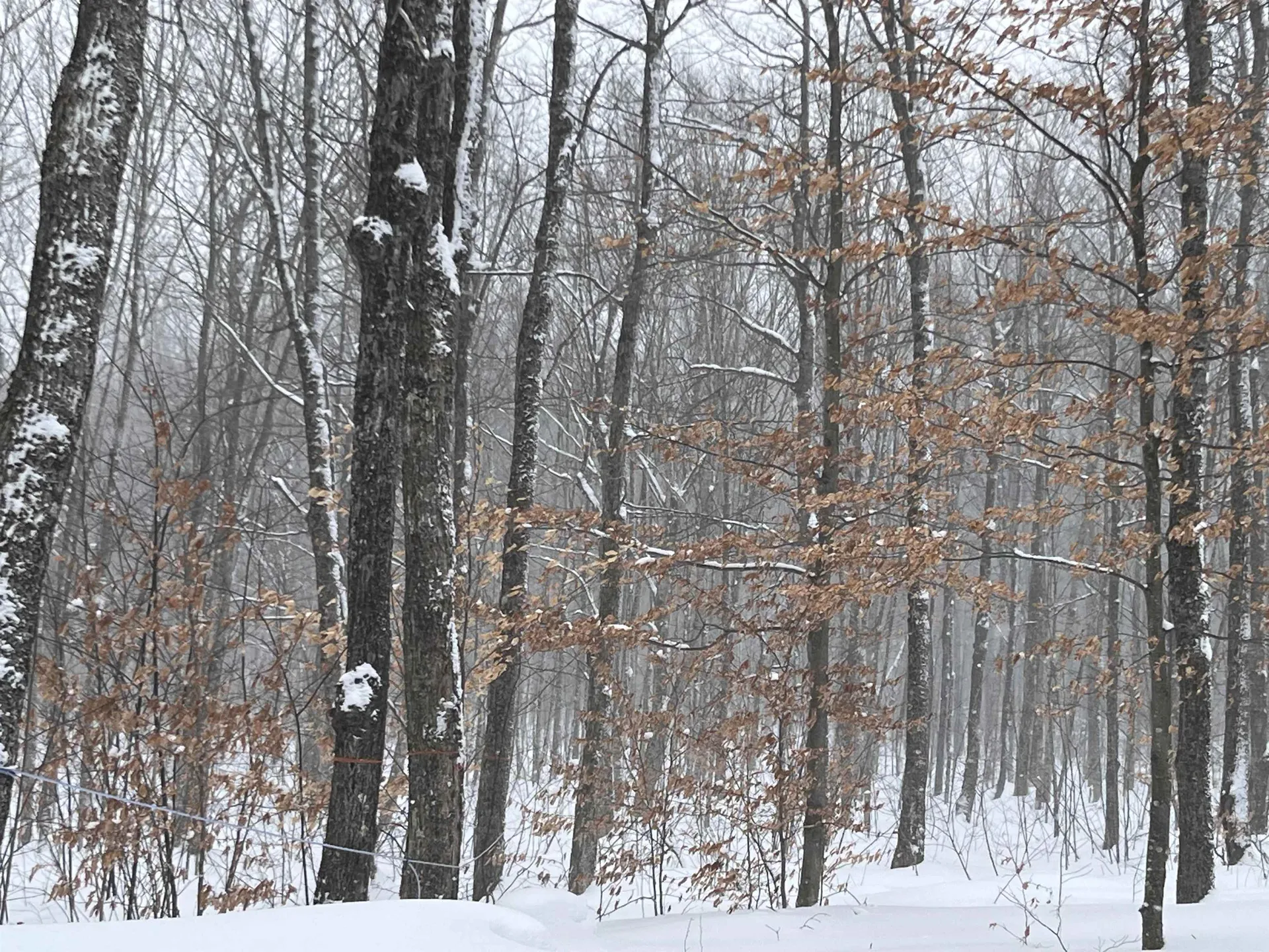 2924 New Duck Pond Road Sheffield VT 05866