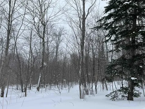 2924 New Duck Pond Road Sheffield VT 05866