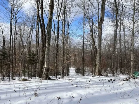 2924 New Duck Pond Road Sheffield VT 05866