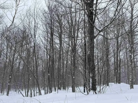 2924 New Duck Pond Road Sheffield VT 05866