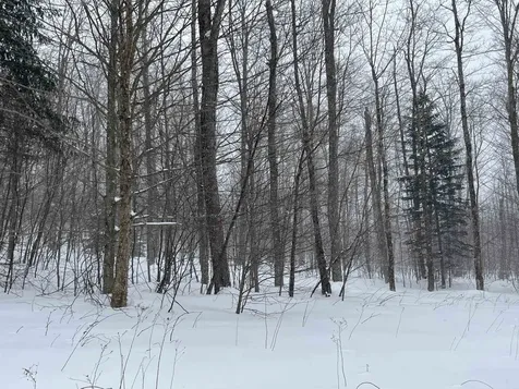 2924 New Duck Pond Road Sheffield VT 05866